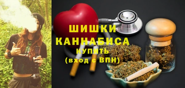 сатива Ростов